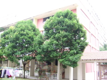 Blk 402 Sun Plaza Green (Tampines), HDB 4 Rooms #95182
